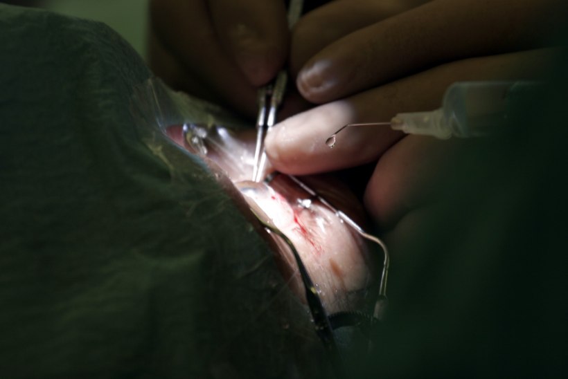 Nägemise kaotanud naine pidi silmaoperatsiooni eest ise maksma