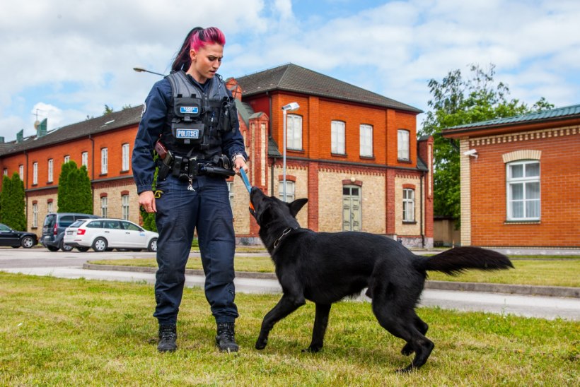 Politsei: koera kasutame ründe peatamiseks ainult äärmisel juhul