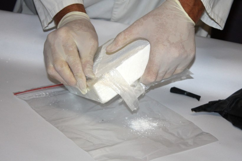 FOTOD | AJALOO SUURIM: Leedus tabati 49 miljoni eurone meie turule mõeldud kokaiinilast