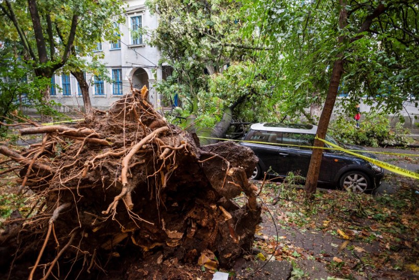 Võimas torm tappis Rumeenias kaheksa inimest, maru liigub edasi Ukraina poole