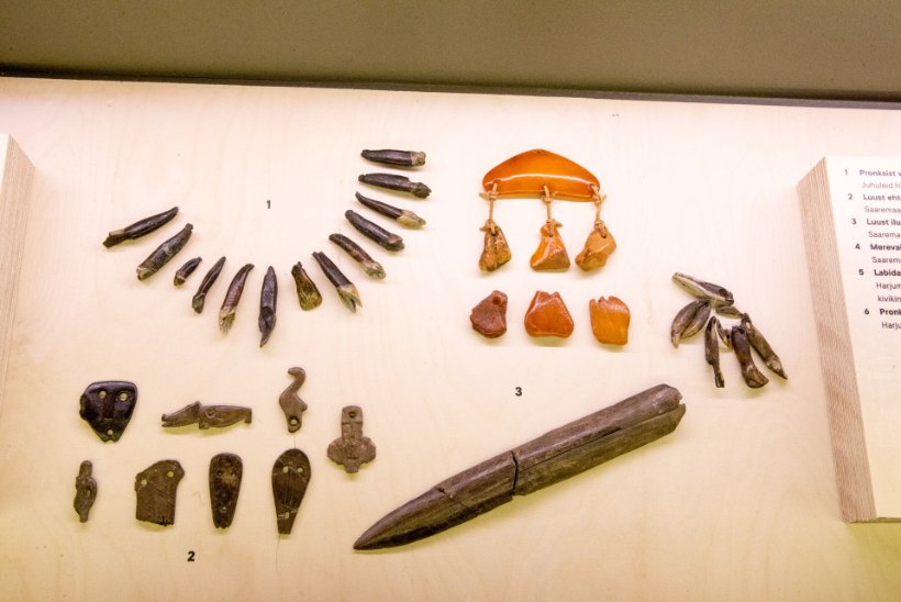 GALERII | Adamson-Ericu muuseumis avati näitus „Eesti ehted läbi aastatuhandete“