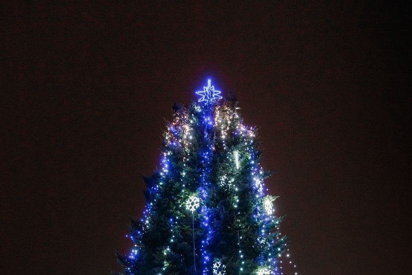 GALERII | Oh, jõulupuu, oh, jõulupuu – siit igaüks saab rõõmu!