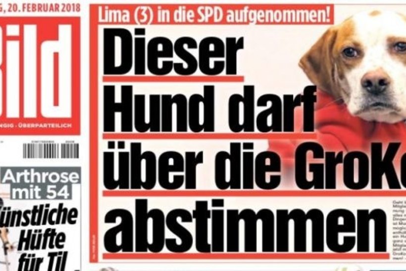 PIINLIK: Saksa sotsid võtsid oma partei liikmeks koera
