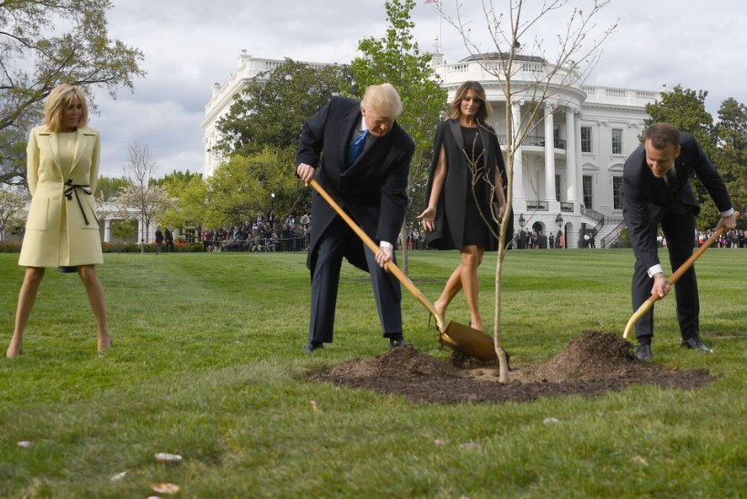 FOTOD JA VIDEO | Esimene kord? Vaata, kuidas Trump ja Macron üritasid puud istutada