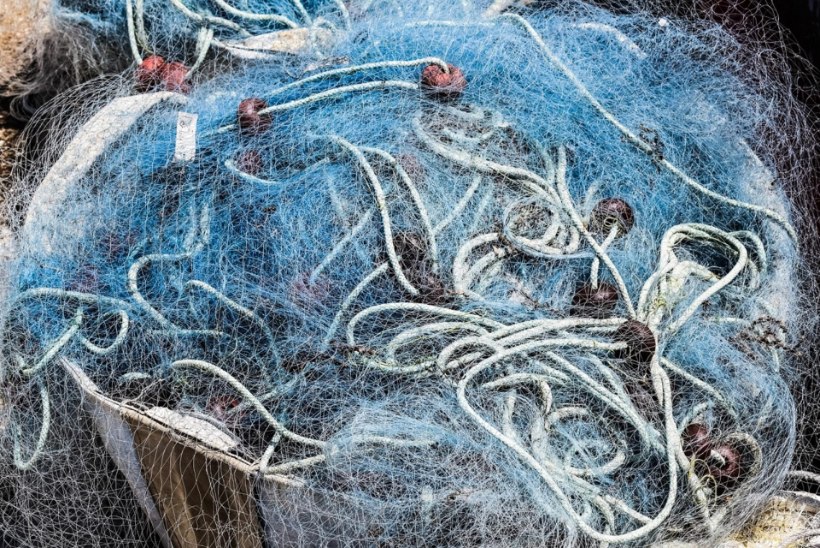Kalurilt nõutakse röövpüügi tõttu 14 000 eurot