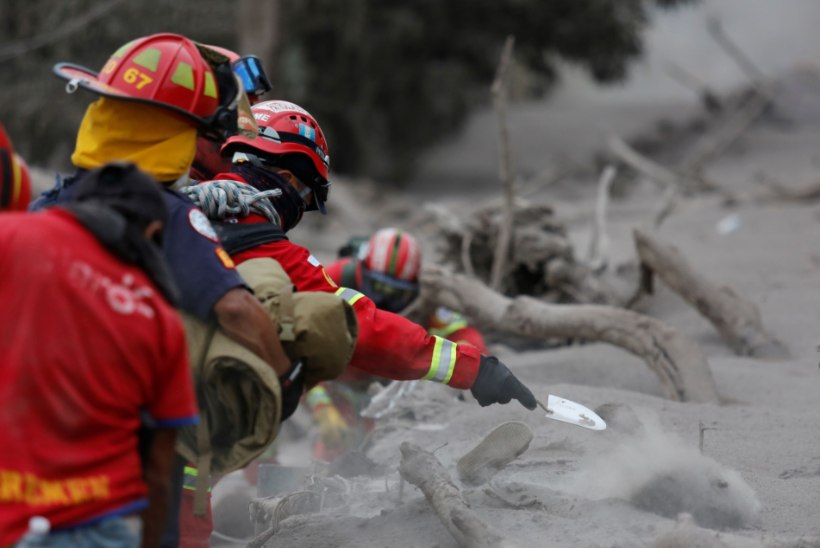 FOTOD | Guatemalas jätkatakse vulkaaniohvrite otsinguid, ametlik hukkunute arv on hetkel 69