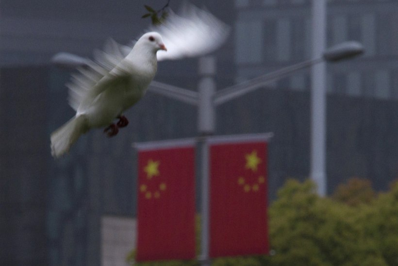 SUUR VEND NÄEB: Hiina jälgib oma kodanikke kõrgtehnoloogiliste droon-lindudega