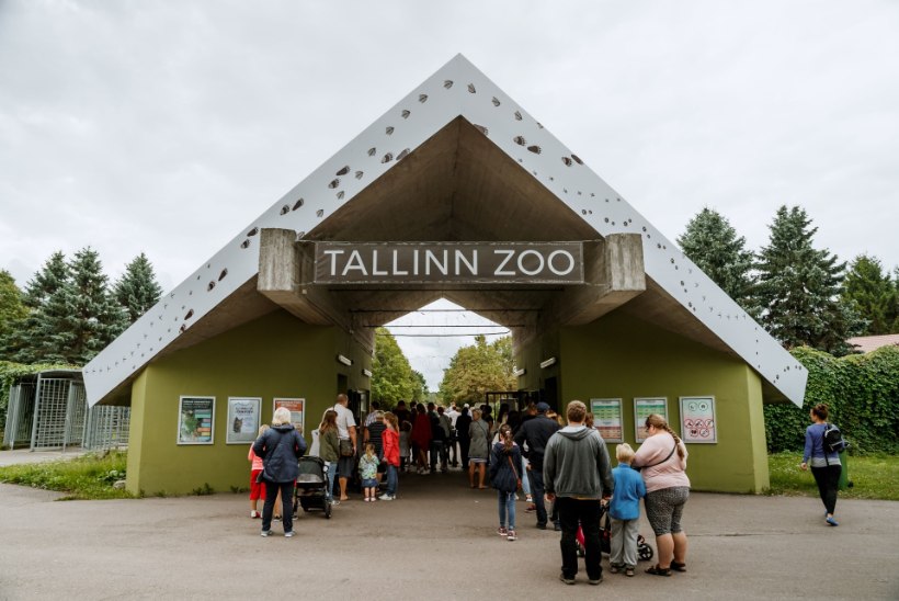 VIDEO JA GALERII | Tallinna loomaaed tähistab 79. sünnipäeva
