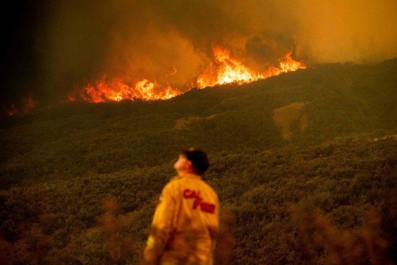 FOTOD | Californiat laastavad metsatulekahjud on osariigi ajaloo suurimad