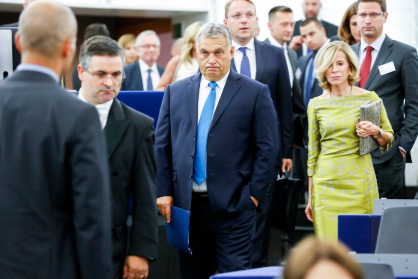 12 MUREPUNKTI PAGULASTEST ÜLIKOOLIDENI: Europarlament hääletas Ungarit tauniva resolutsiooni poolt