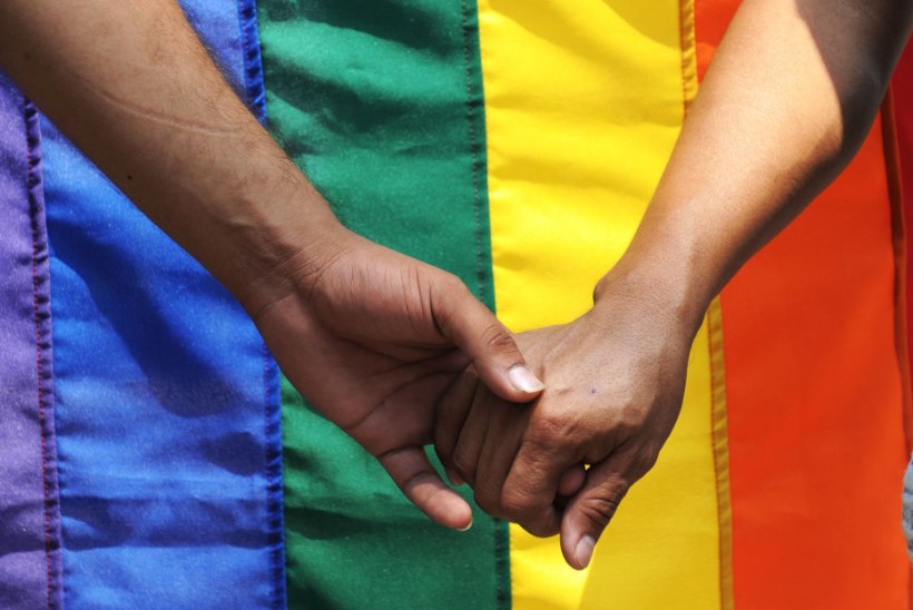 Kohus: elamisloa mitteandmine samasoolisele registreeritud kooselupartnerile on põhiseadusega vastuolus