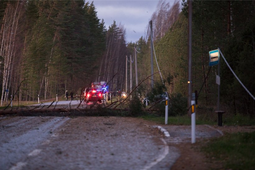 TORMIBLOGI | Võru linn jäi elektri ja veeta ning piiriületus oli häiritud, Lõuna-Eestis on maas Riigivõrk