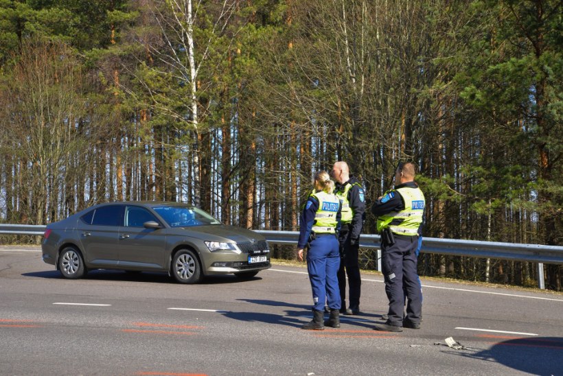 FOTOD | Pärnumaal põrutas piimaveok otsa sõiduautole