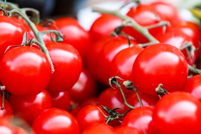 SA KASUTAD NEID NIPPE KOGU SUVE | Toidutare retseptivõlur Tiina Lebane soovitab 5 lihtsat trikki, kuidas tuunida kurgi-tomatisalatit