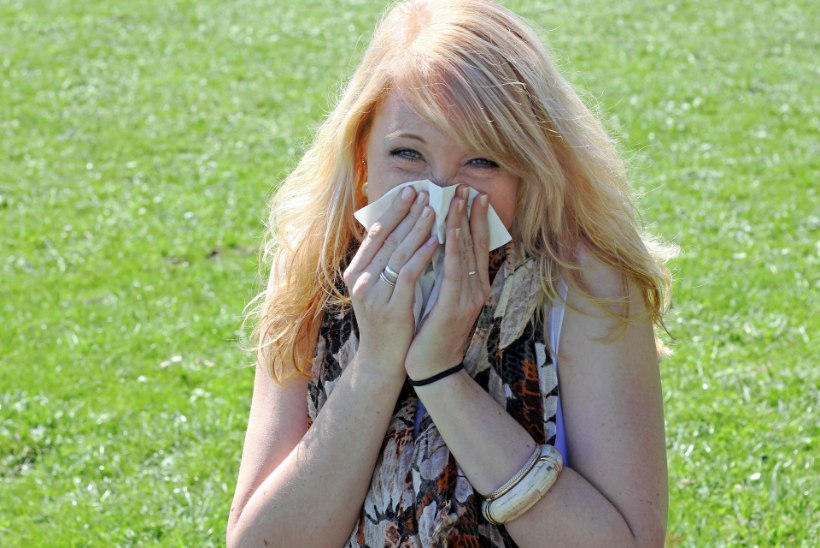 LAKKAMATU AEVASTAMINE, TILKUV NINA: ära aja allergiat külmetusega segamini!