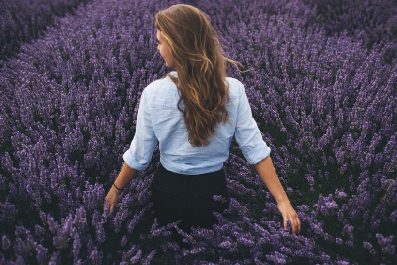Aromaatne lavendel: vajalik nii iluarsenalis kui rohukapis
