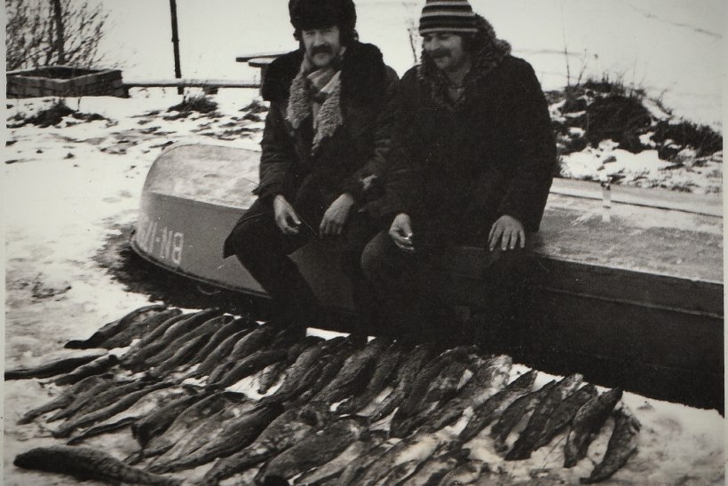 Veterankalamees Katenevi päevikud 1981: võimsad saagid Peipsilt