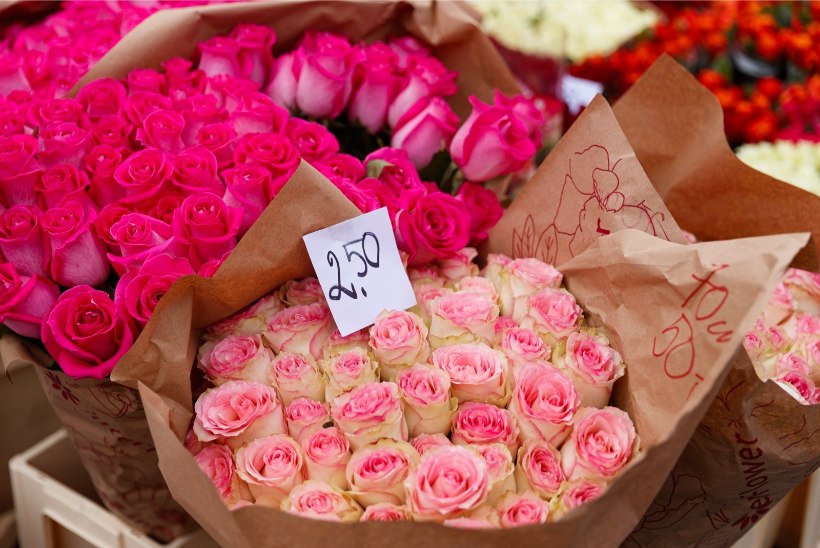 LUGEJAKIRI | Naistepäeval pidin endale ise lilled ja tordi ostma!