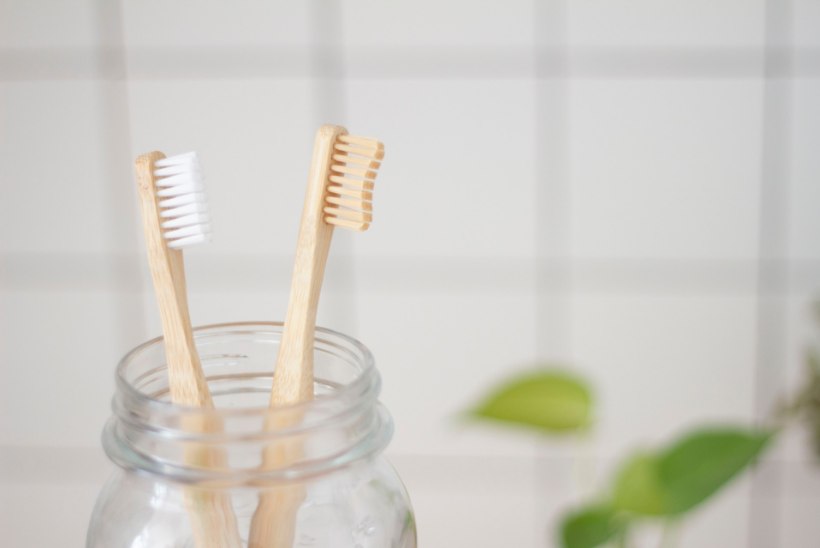 Proovime järele: kas loodusliku hambapulbri ja -seebiga saab hambad puhtaks?