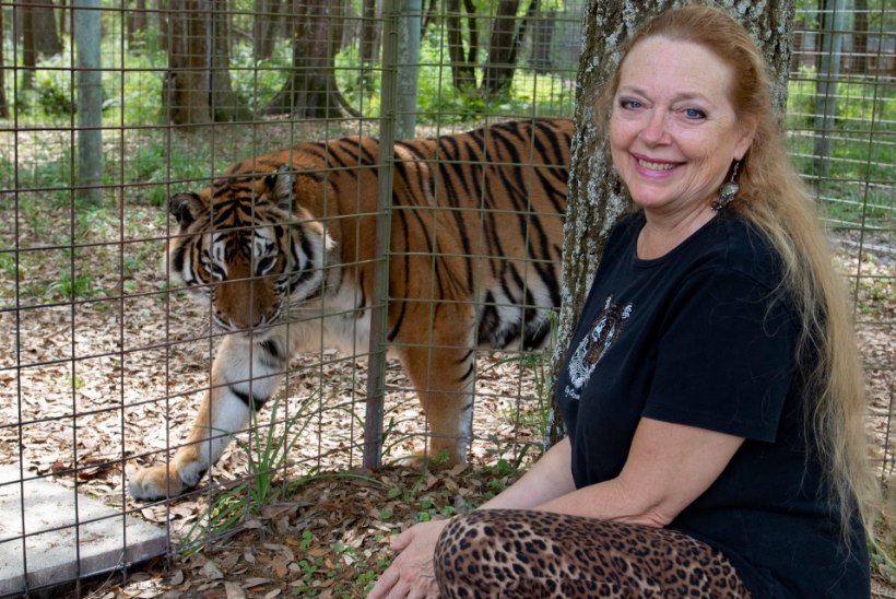 Tiigrikuninga loomaaed määrati naisele, keda ta oli tappa üritanud