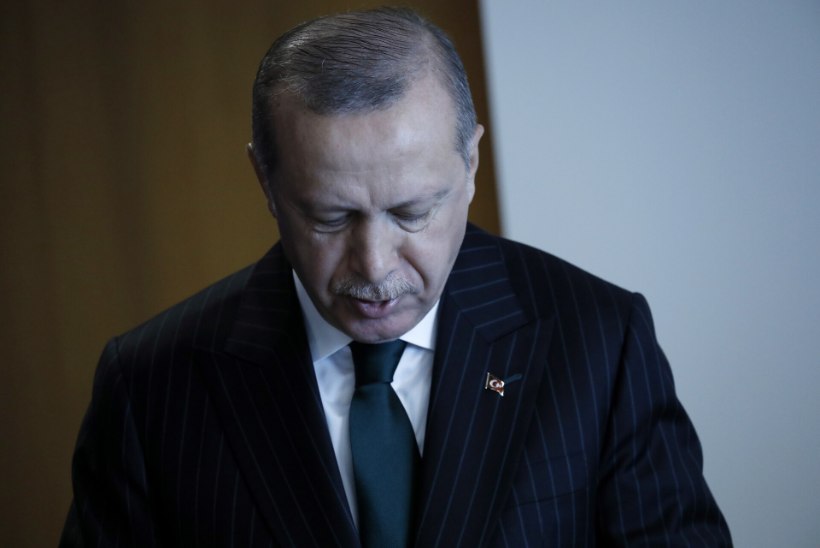 Erdoğan tahab suursaadikuid välja saata