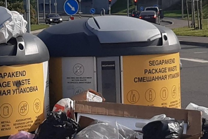 Pakendiringluse juht: laiskus ja lohakus pakendite äraviskamisel lennutab igal aastal tuulde umbes miljon eurot