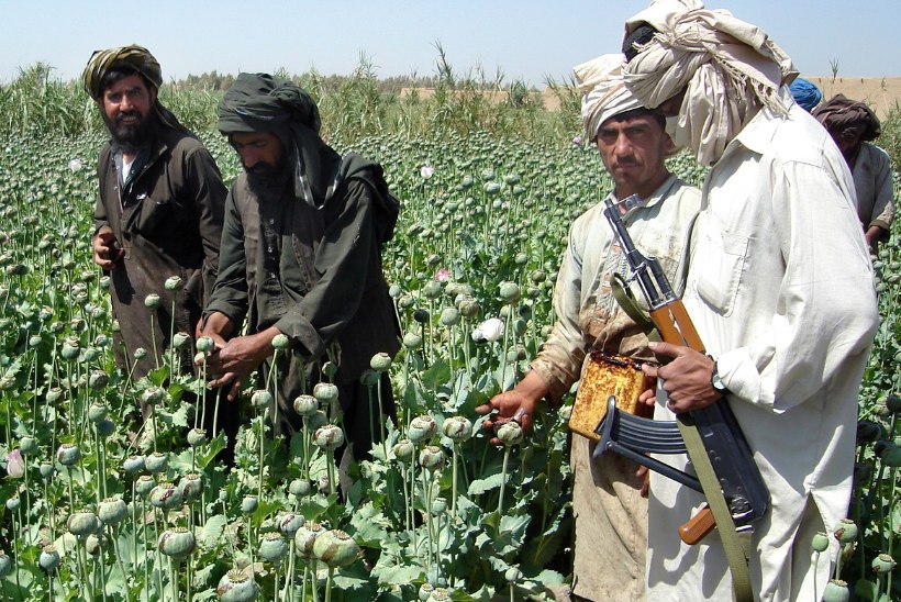 „OLEME SÜNDINUD SELLEKS, ET SURRA!“ Taliban näitab Afganistani valitsusele, rahvale ja maailmale musklit