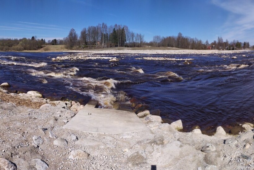 Püügipiirangud Pärnu jõel: kalapüük vees viibides on keelatud