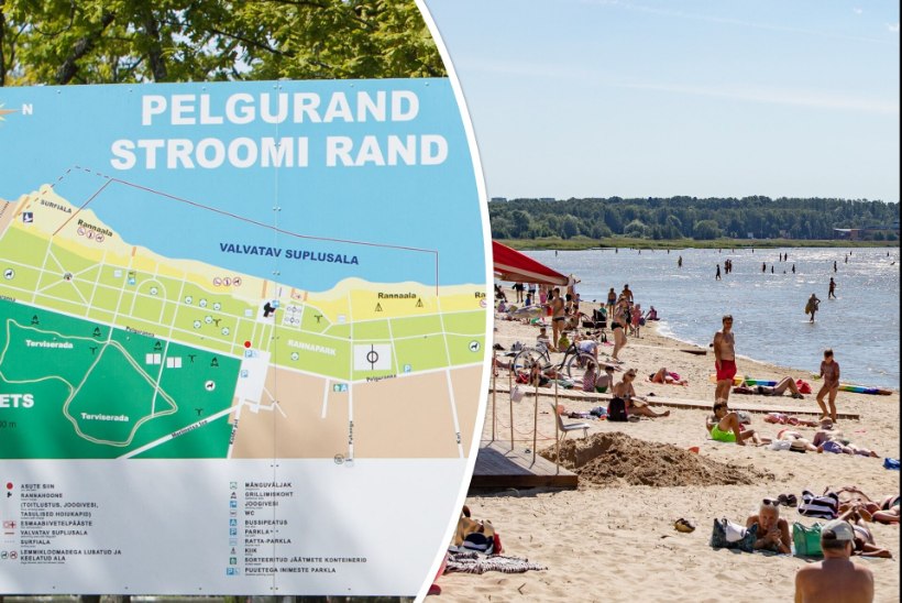 Juhuslikud fekaalibakterid: Stroomi rannas saab keelumärkide kõrval ikkagi supelda