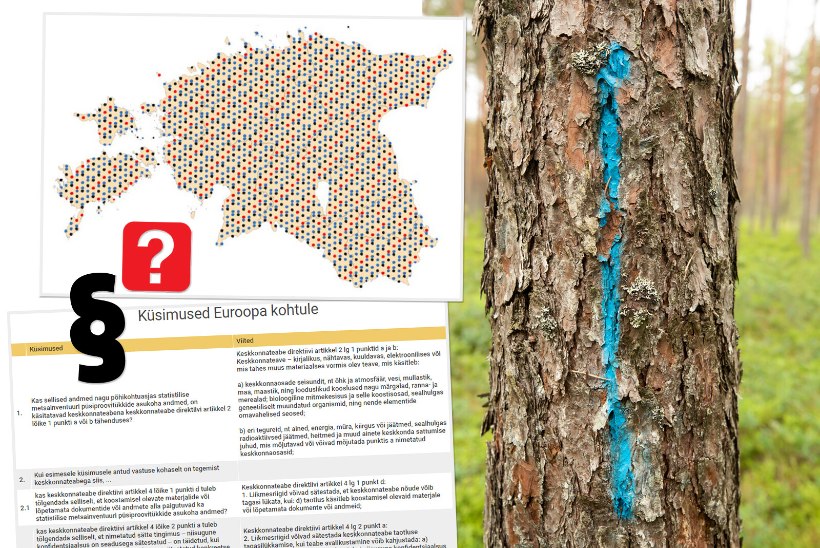 KOHTUNIKEL PEA HUUGAB! Kas riik tohib luku taga hoida olulisi andmeid metsa kohta? Asi jõudis otsaga Euroopa kohtusse