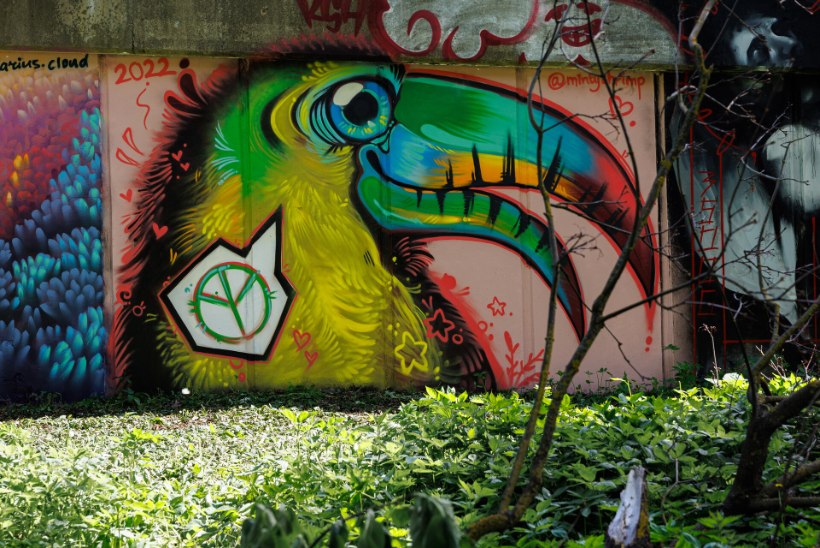 GALERII | Tallinnas avati esimene seaduslik grafitisein! Kunstihuvilise poisi ema: kodus on isegi voodipõhjad täis soditud