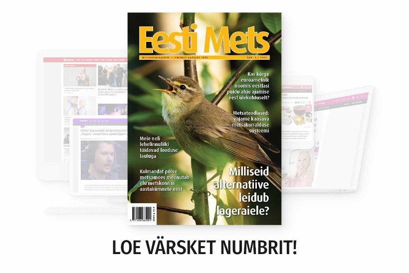 Ajakirja Eesti Mets suvenumber on ilmunud!