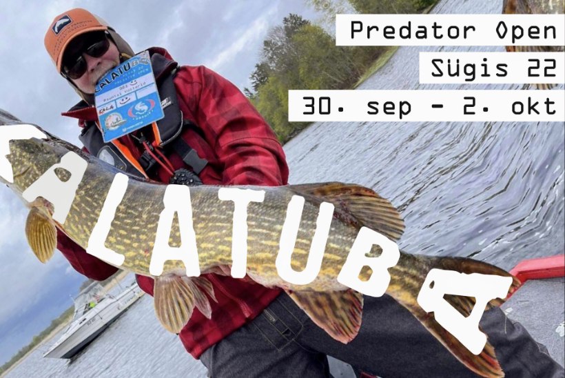 Üle-eestiline kalapüügivõistlus Kalatuba Predator Open toimub taas septembri lõpus