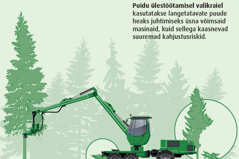 Metsa järgulise majandamise ja jätkukasvatuse raietest Soome näitel. 3. osa