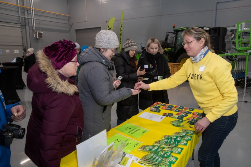 FOTOD | Rohenäppude pidu: kuulsa Jõgeva kollase mugulad lõppesid seemnefestivali esimesel tunnil
