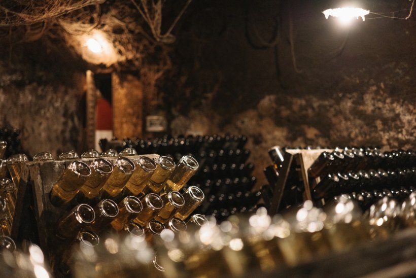 GALERII | Portugal – veinimaailma „avastamata pärl“