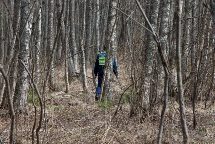 Politsei otsis ühel päeval kolm korda Lõuna-Eestis metsa eksinud inimesi 