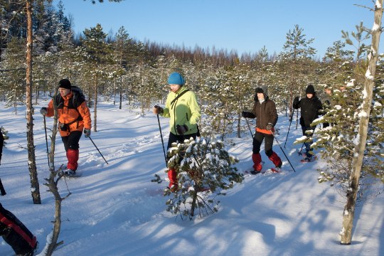 Tervislikud pühad: kuidas Eesti talvest viimast võtta? 