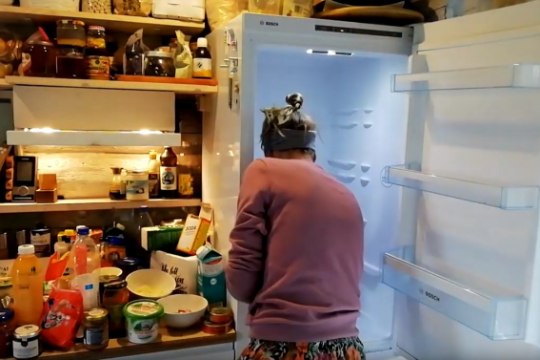 VIDEO | Nipiraamatu toimetaja näitab ette: kuidas külmikut puhastada ja seal korda hoida