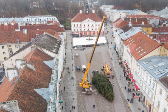 FOTOD | Metsavedu kesklinnas: Tartu Raekoja platsile tõusis Võru külje all kasvanud jõulukuusk
