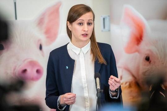 SEAKASVATAJAD VÄRISEGU? Eesti edukaim loomaõiguslane asub võitlema sigade heaolu eest