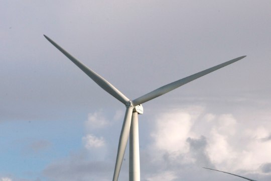 Tuuleparkide rajamise keelu vaidlus jõudis riigikohtusse 