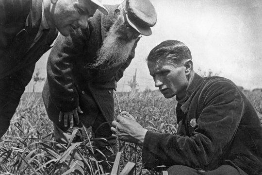 PALJASJALGNE TEADLANE: Nõukogude Liidu juhtiv bioloog Trofim Lõssenko näljutas ebateaduse abil miljoneid inimesi