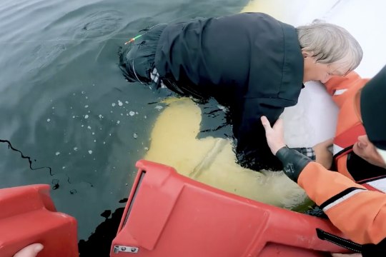 HOIATAV VIDEO: päästjad aitasid kaldale paadiga ümber läinud kaluri