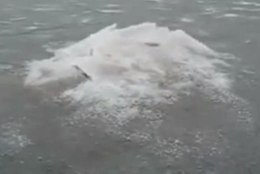 VIDEO: Loch Nessi koletis Venemaa moodi