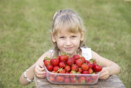 Parimad maasikad on kodumaised