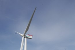 Vennad Sõnajalad: tuulikutetööstus võib Eestisse luua 1500 uut töökohta