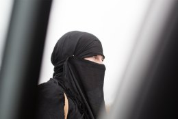 Teadur kritiseerib burkakeelu kava