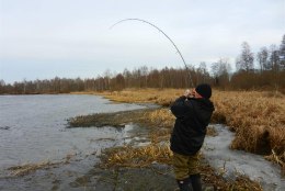 Eesti Kalastajate Selts kuulutab välja ülelöömavõistluse “Suur  kala  2015“.