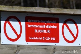Avasta Eestimaad: kus saab praegu siili okkaid tunda?